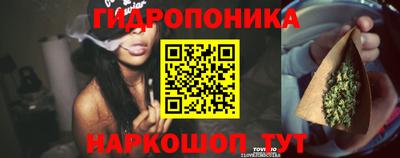 крисы Малгобек