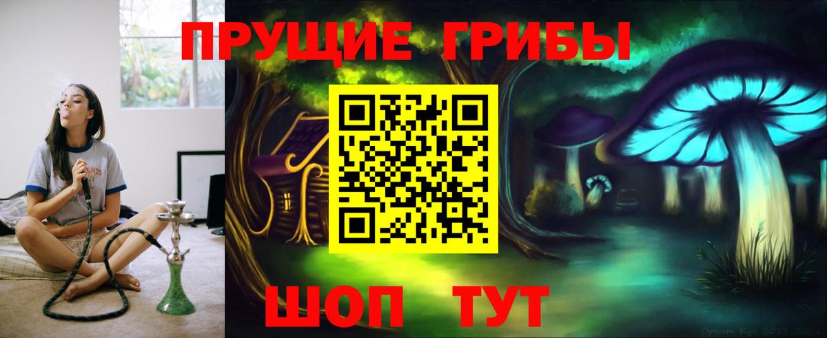 Псилоцибиновые грибы Psilocybe  Вход с VPN  Бутурлиновка  Галлюциногенные грибы Psilocybine cubensis 